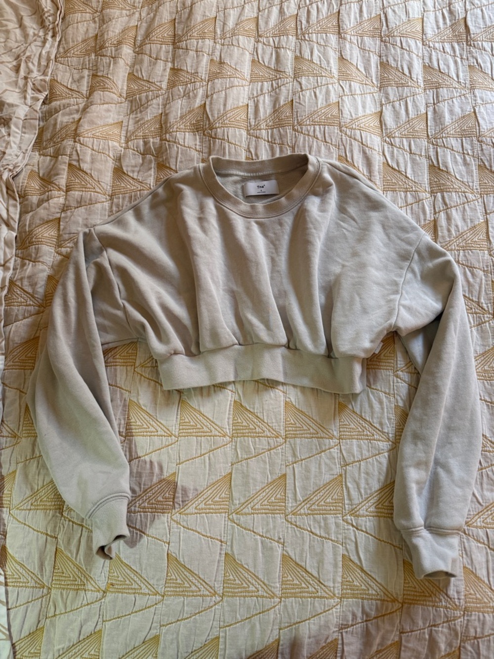 Aritzia TNA super Cropped Crewneck Sweatshirt - Beige